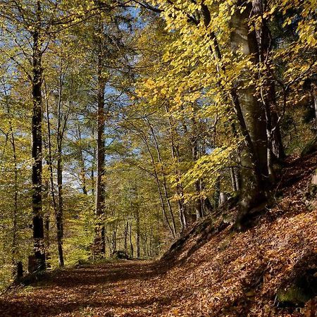Apartmán Haus Zur Bienenweide Schömberg Exteriér fotografie