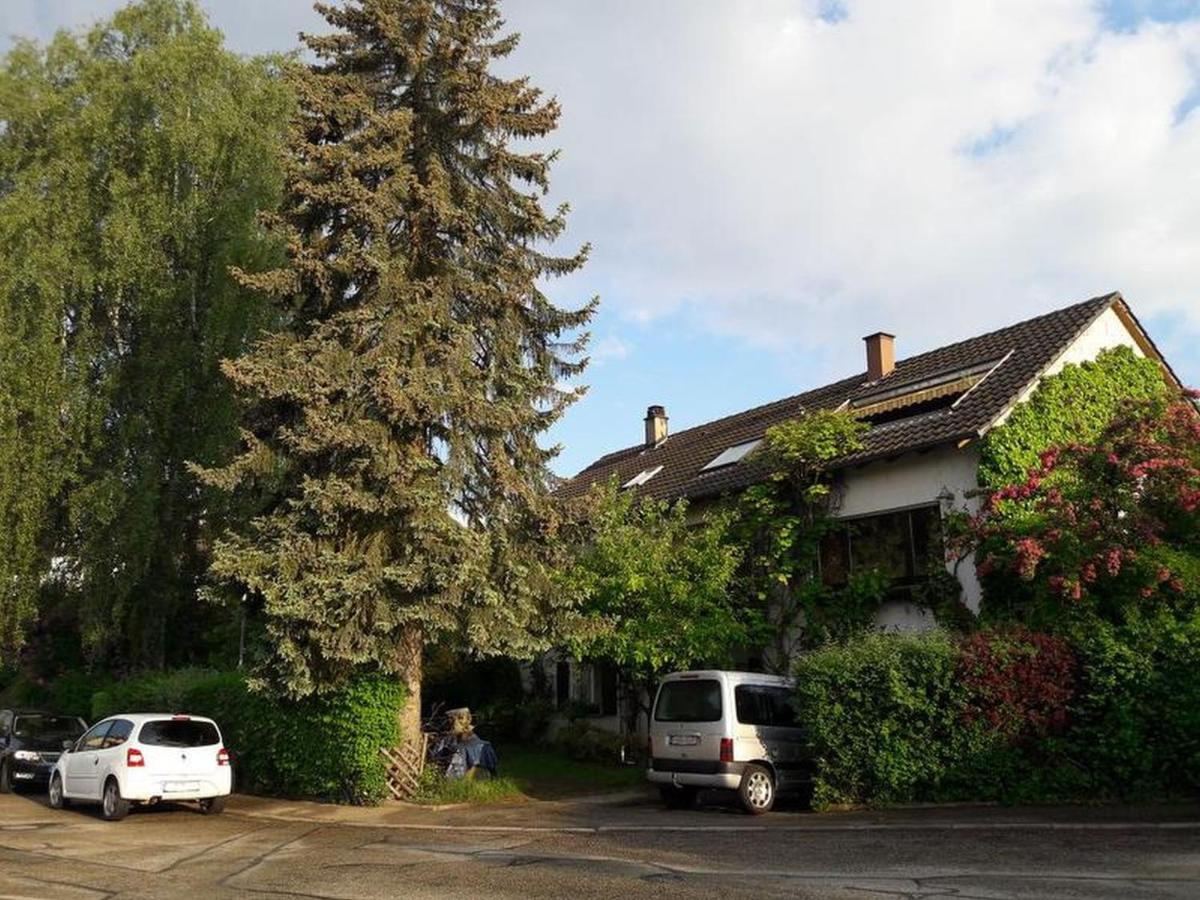 Apartmán Haus Zur Bienenweide Schömberg Exteriér fotografie