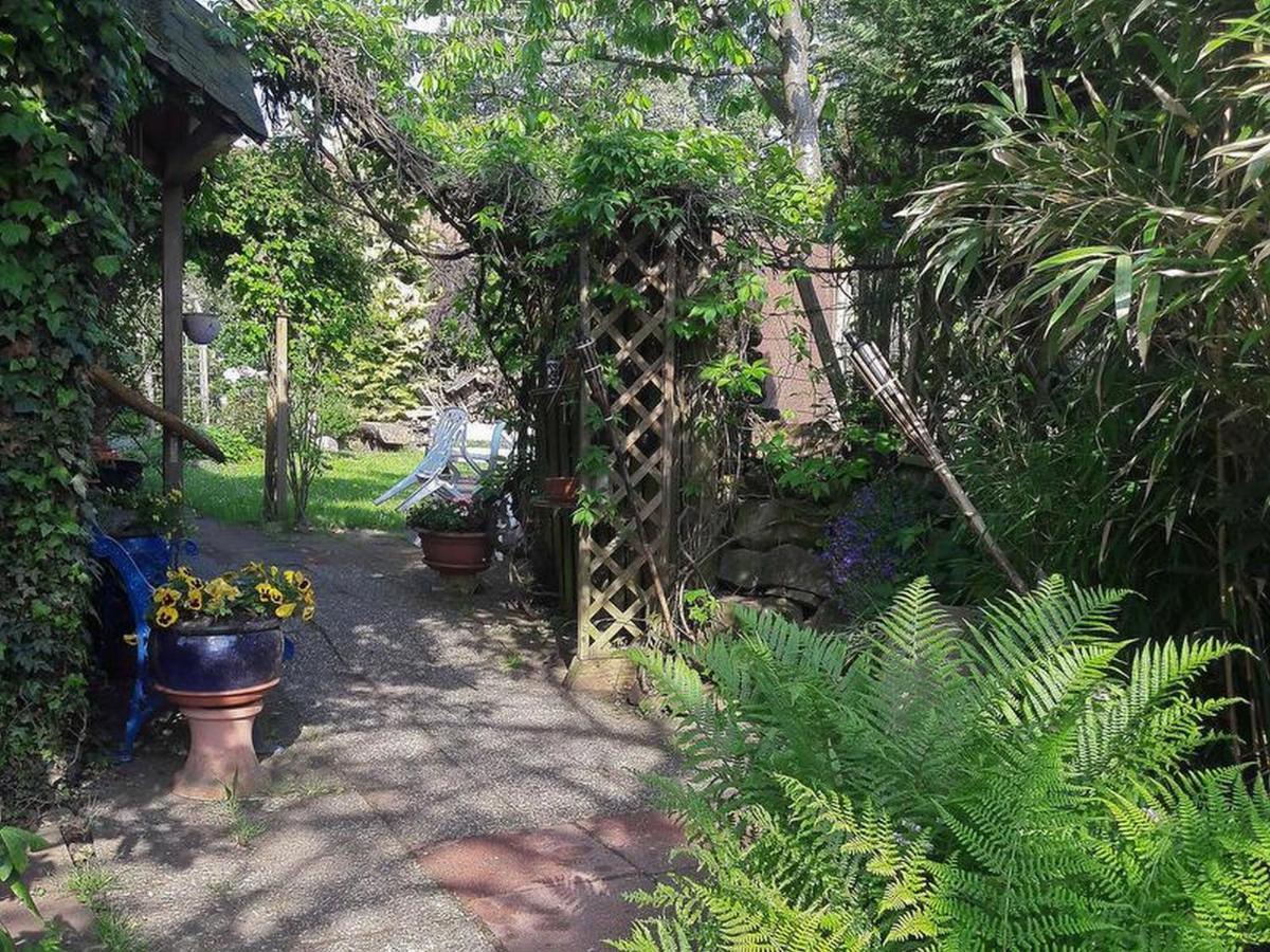 Apartmán Haus Zur Bienenweide Schömberg Exteriér fotografie